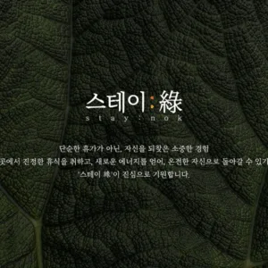 몇 가지 실제 사례를 소개 : 스테이녹